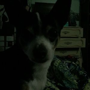 Meet your Posher, Lindsay